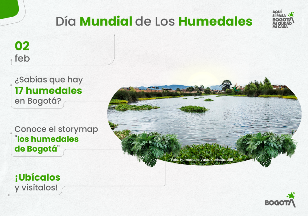 Día Mundial de los Humedales 2026