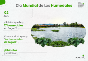 Día Mundial de los Humedales