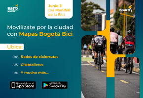 Día Mundial de la Bicicleta