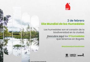 2 de febrero Día de los Humedales: conoce el StoryMap que ubica todos los de Bogotá