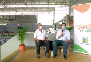 firma palmira