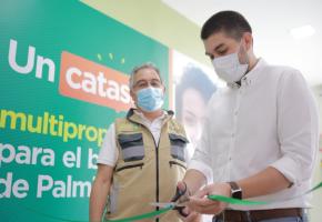 palmira