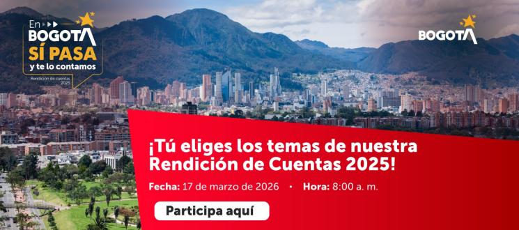 Temas rendición de cuentas
