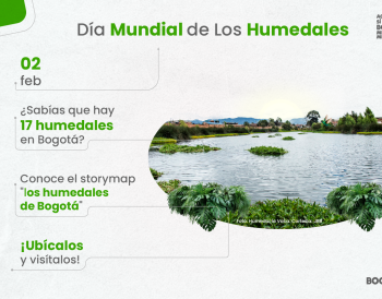 Día Mundial de los Humedales